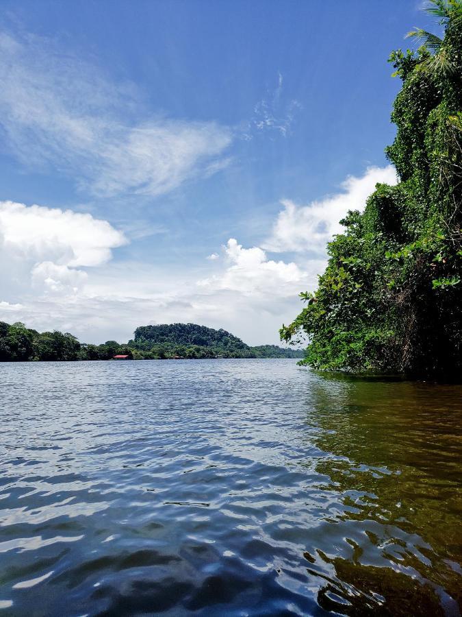 Hotel Casa Thirema Tortuguero Extérieur photo