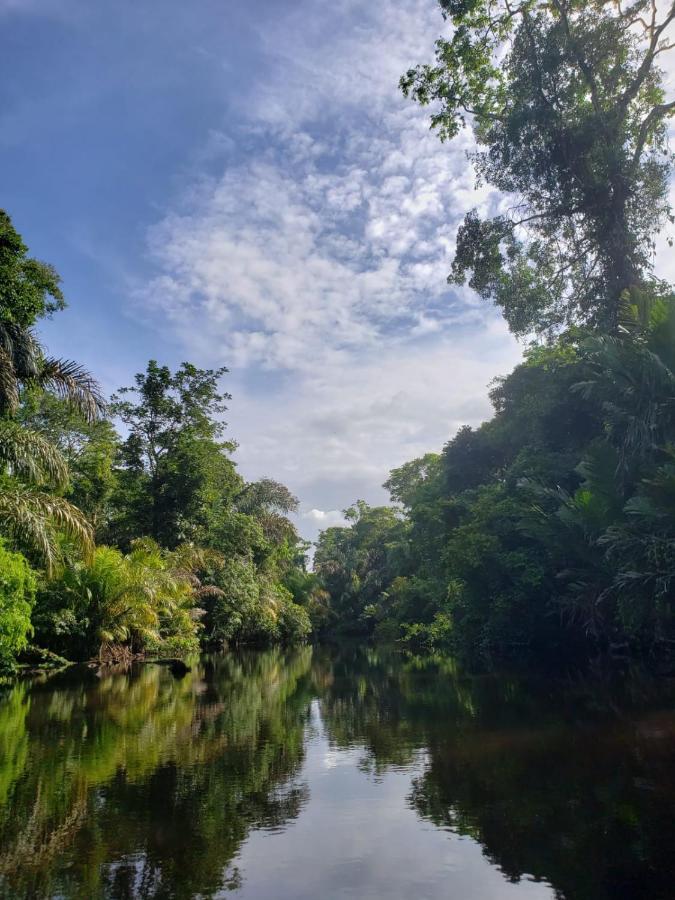 Hotel Casa Thirema Tortuguero Extérieur photo