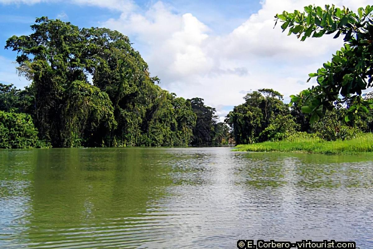 Hotel Casa Thirema Tortuguero Extérieur photo